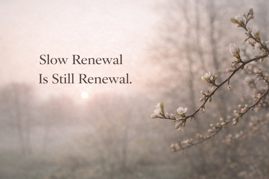 Slow Renewal Is Still Renewal: How to Grow Intentionally When Faith Feels Quiet — Not Dramatic
